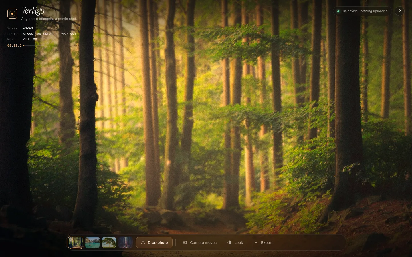 A forest photo turned into a 3D dolly-zoom shot